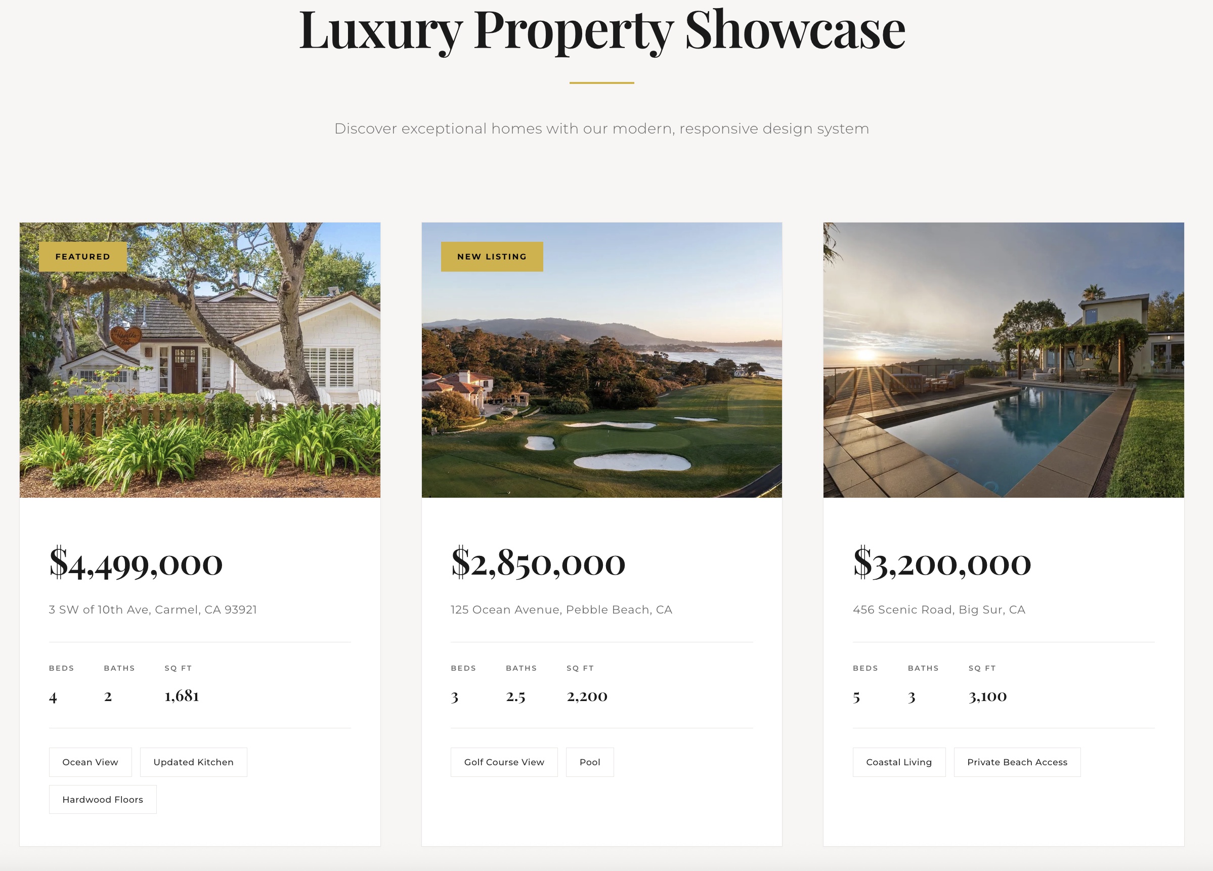 Tailwind UI Showcase